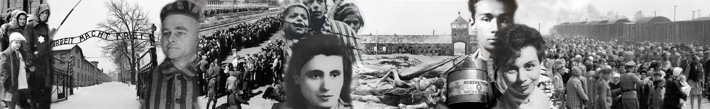 Mon blog les cendres d’Auschwitz